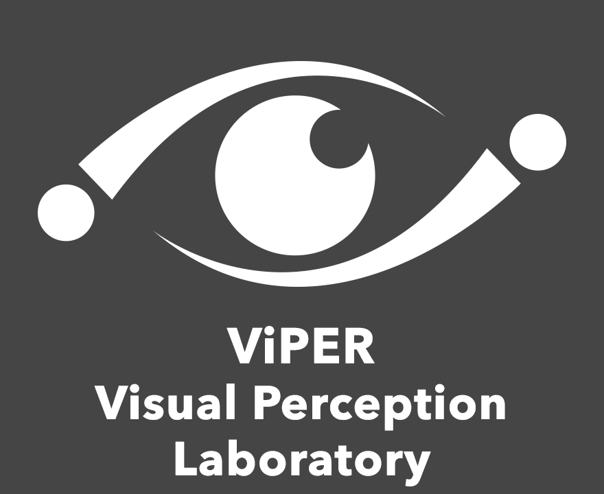 Visual Perception Lab