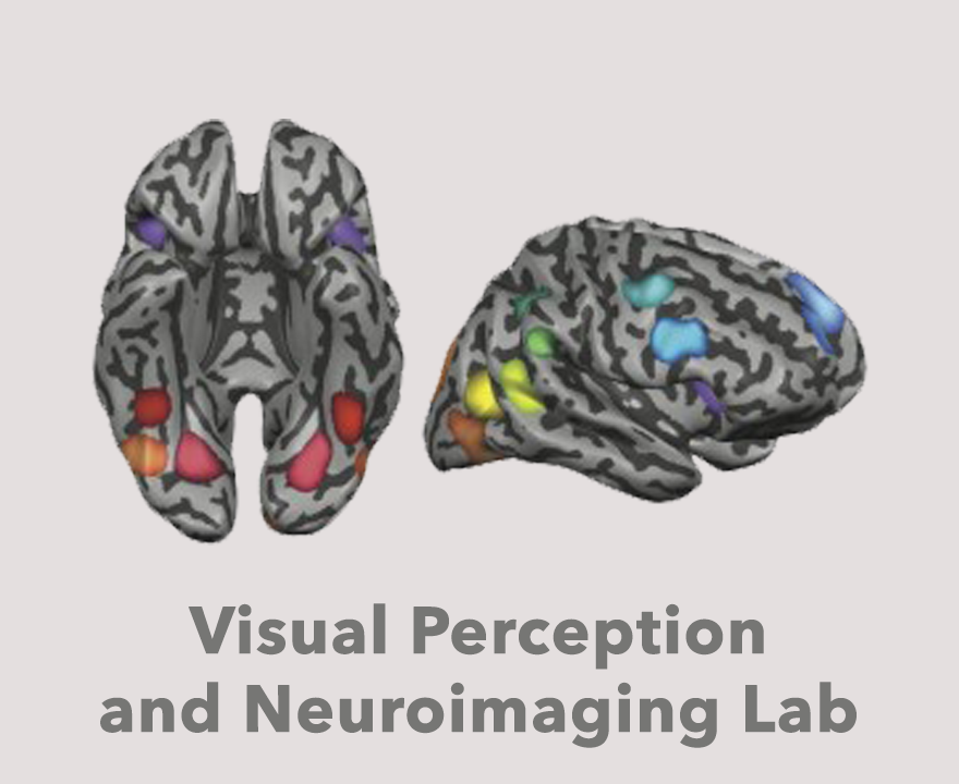 Visual Perception and Neuroimaging Lab