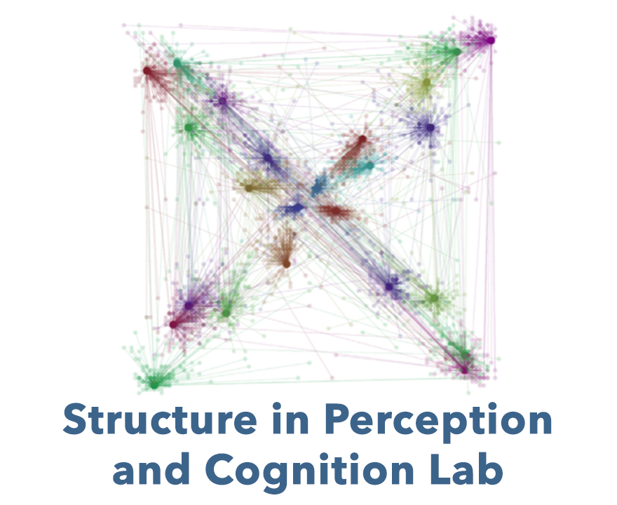 Structure in Perception and Cognition Lab