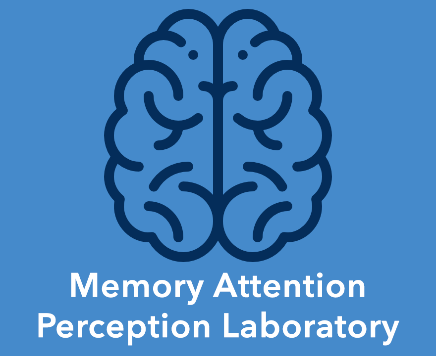 Memory Attention Perception Lab