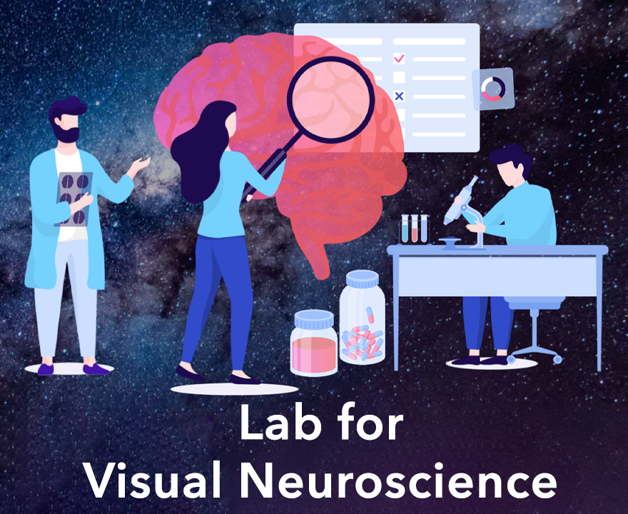 Lab for Visual Neuroscience